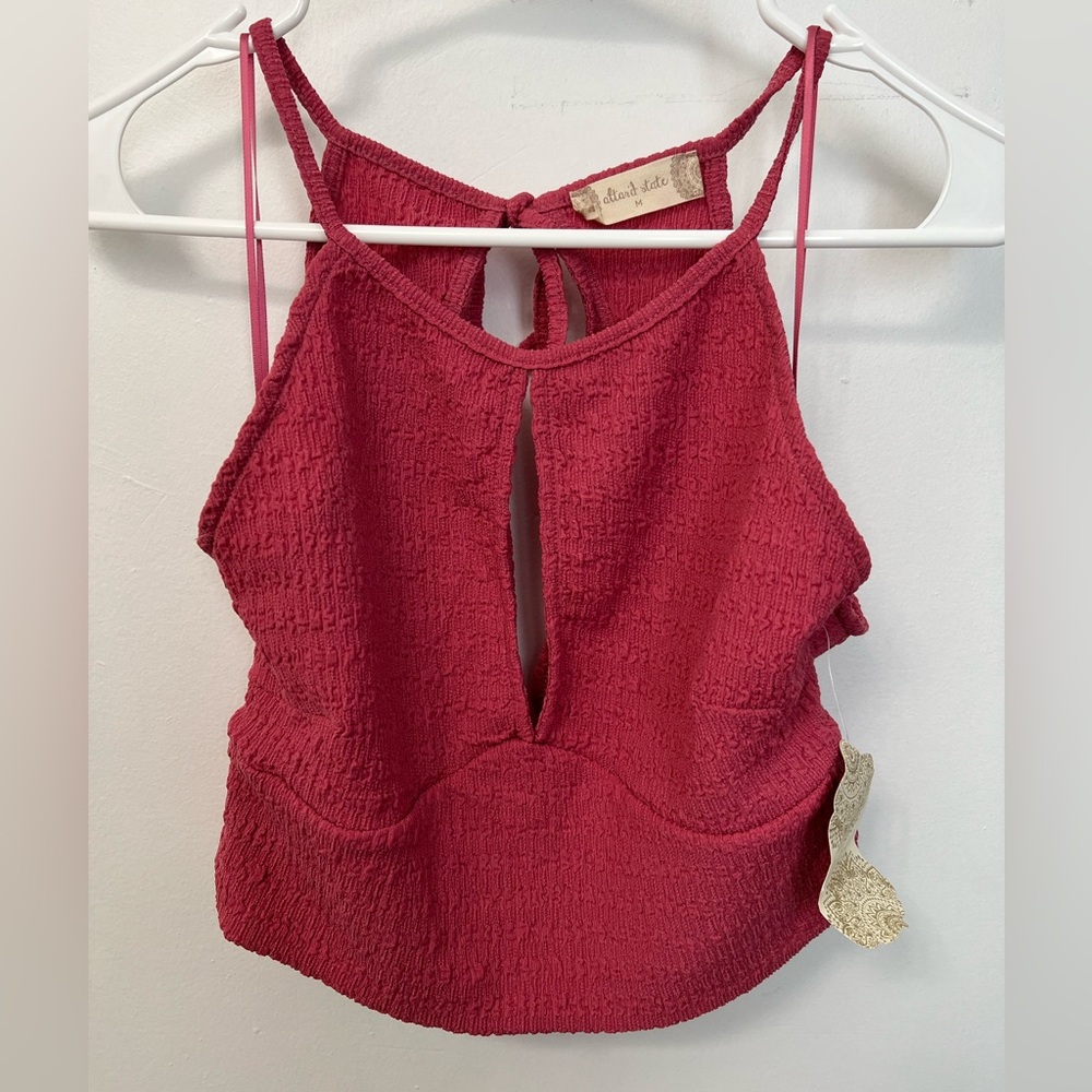 Altar'd State Raspberry Textured Halter Crop - Picture 2 of 7